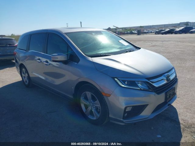 honda odyssey 2019 5fnrl6h77kb079951