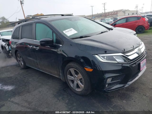 honda odyssey 2019 5fnrl6h77kb081683