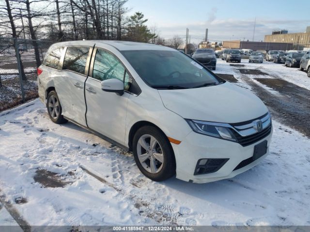 honda odyssey 2019 5fnrl6h77kb085572