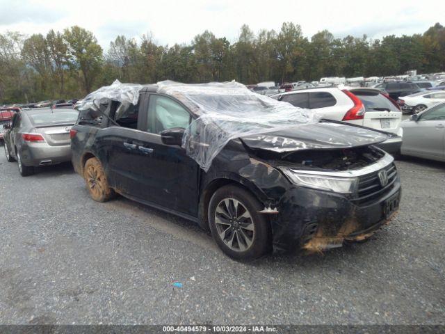 honda odyssey 2021 5fnrl6h77mb027724