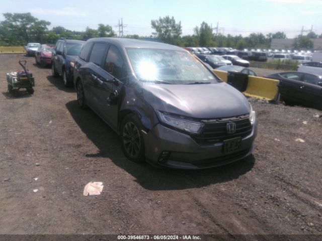 honda odyssey 2021 5fnrl6h77mb037654