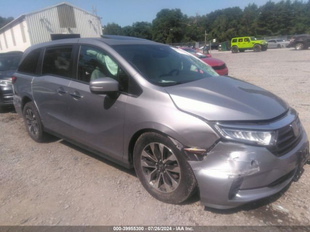 honda odyssey 2022 5fnrl6h77nb028146