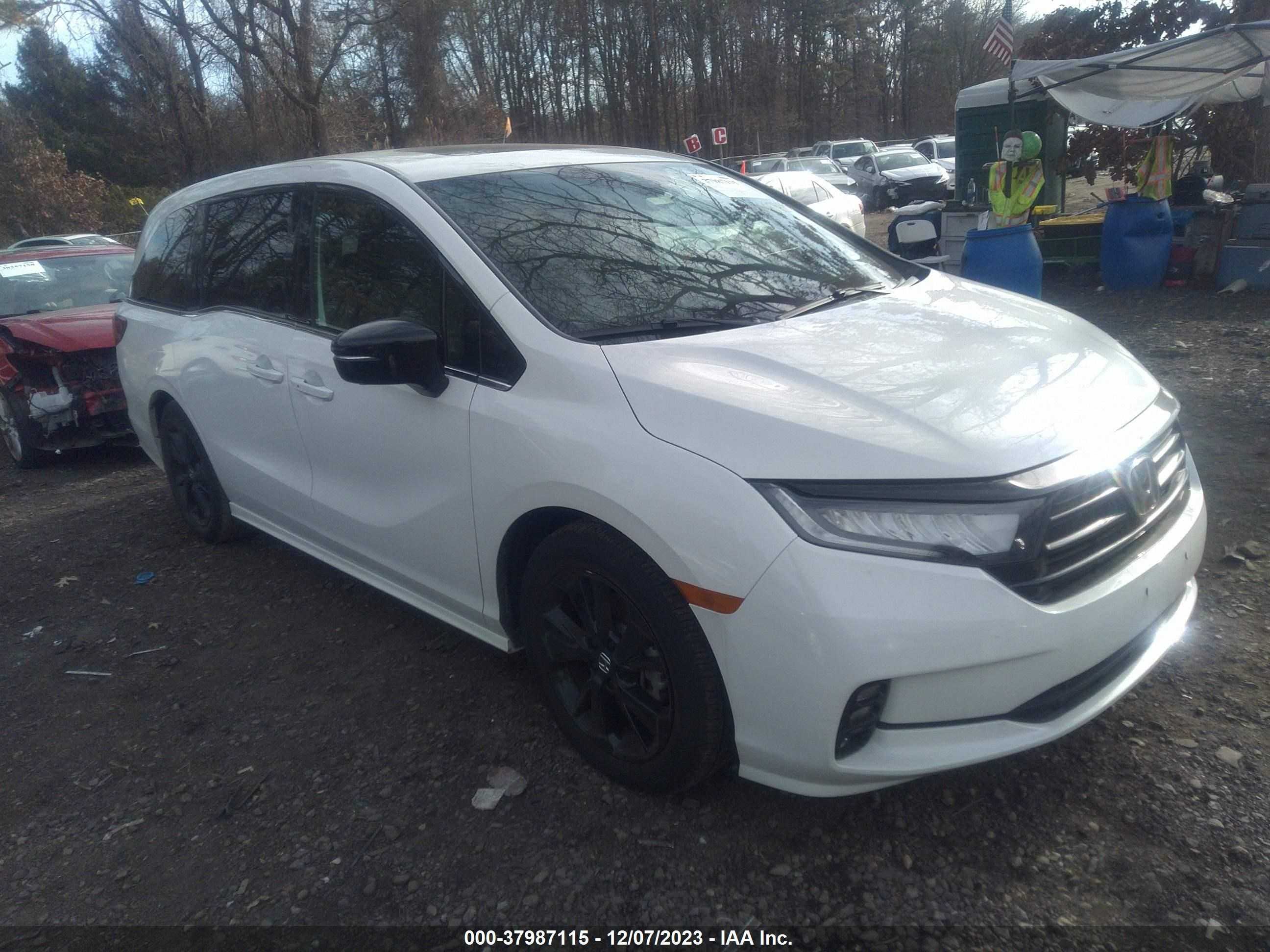 honda odyssey 2023 5fnrl6h77pb056614