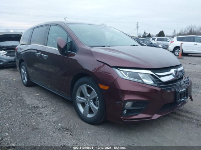 honda odyssey 2019 5fnrl6h78kb075293