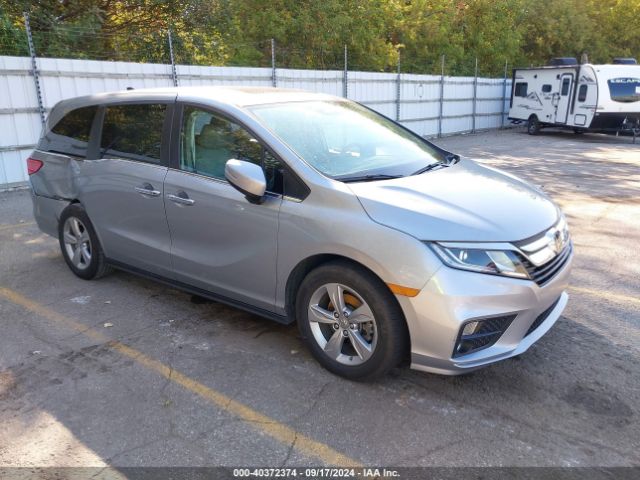 honda odyssey 2019 5fnrl6h79kb055781