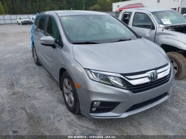 honda odyssey 2019 5fnrl6h7xkb071374