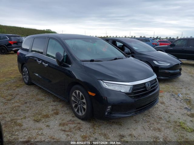 honda odyssey 2022 5fnrl6h7xnb003662