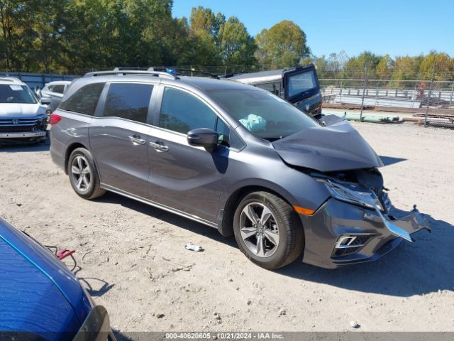 honda odyssey 2019 5fnrl6h81kb056223