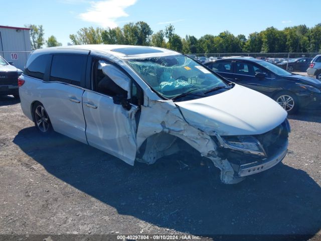 honda odyssey 2020 5fnrl6h81lb000770