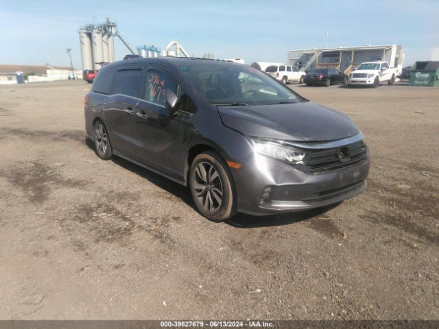 honda odyssey 2022 5fnrl6h81nb023047