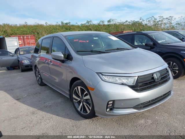 honda odyssey 2023 5fnrl6h81pb043673