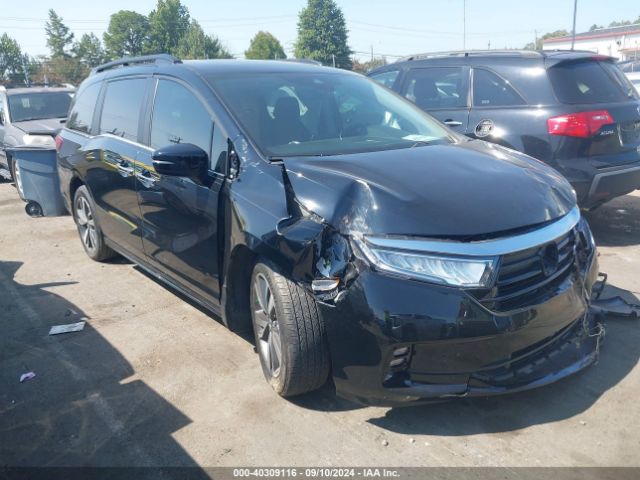 honda odyssey 2023 5fnrl6h81pb047609