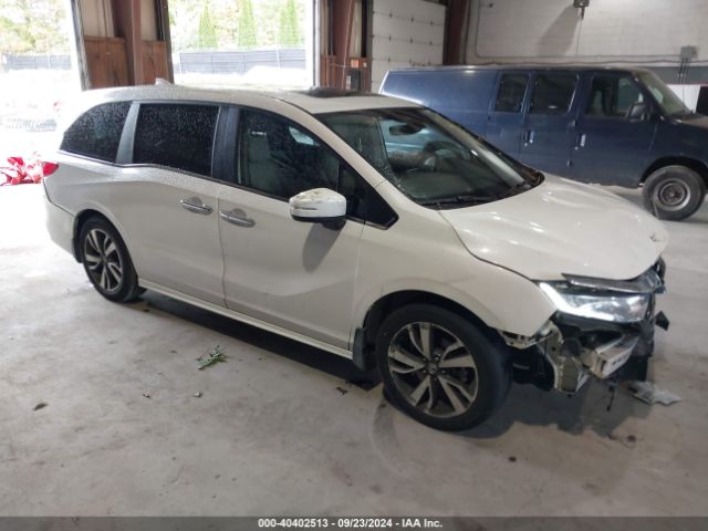 honda odyssey 2024 5fnrl6h81rb015116