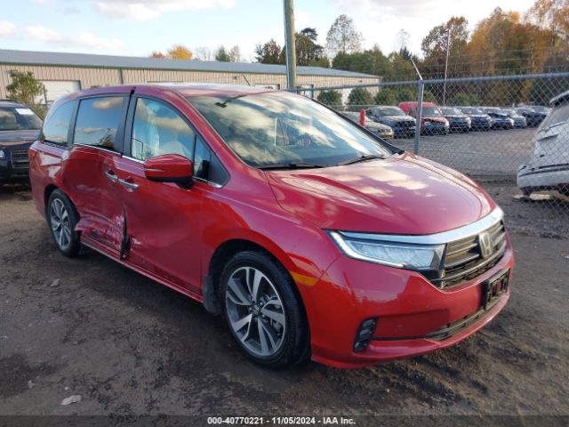 honda odyssey 2024 5fnrl6h81rb029775