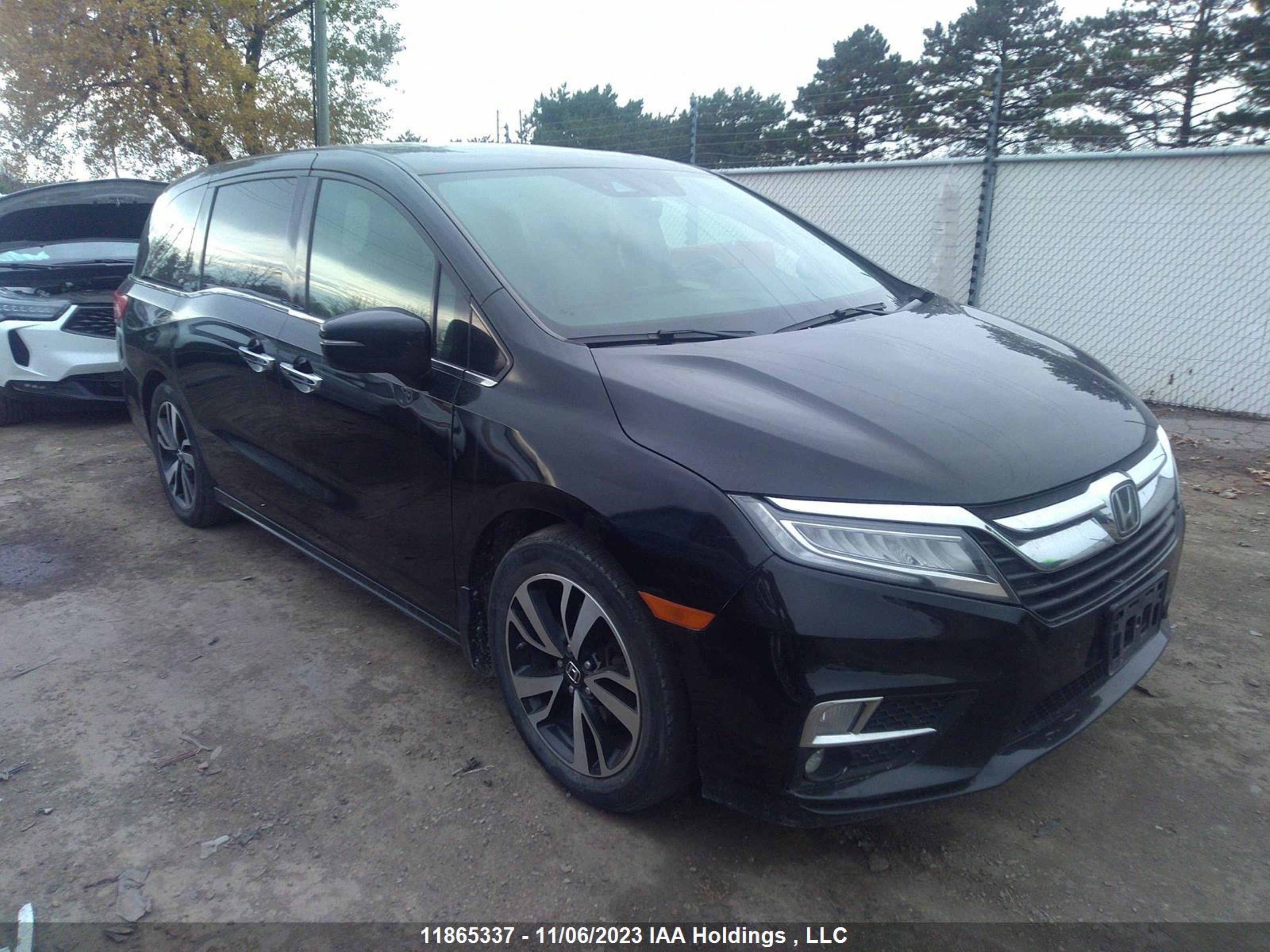 honda odyssey 2019 5fnrl6h82kb505117