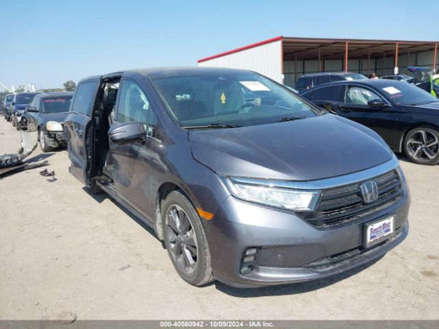 honda odyssey 2022 5fnrl6h90nb056789