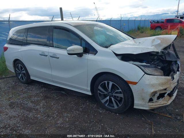 honda odyssey 2019 5fnrl6h95kb026523