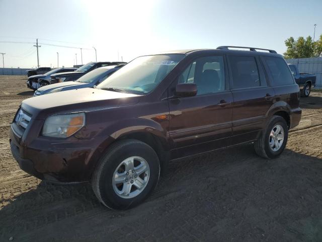 honda pilot vp 2008 5fnyf18288b050803