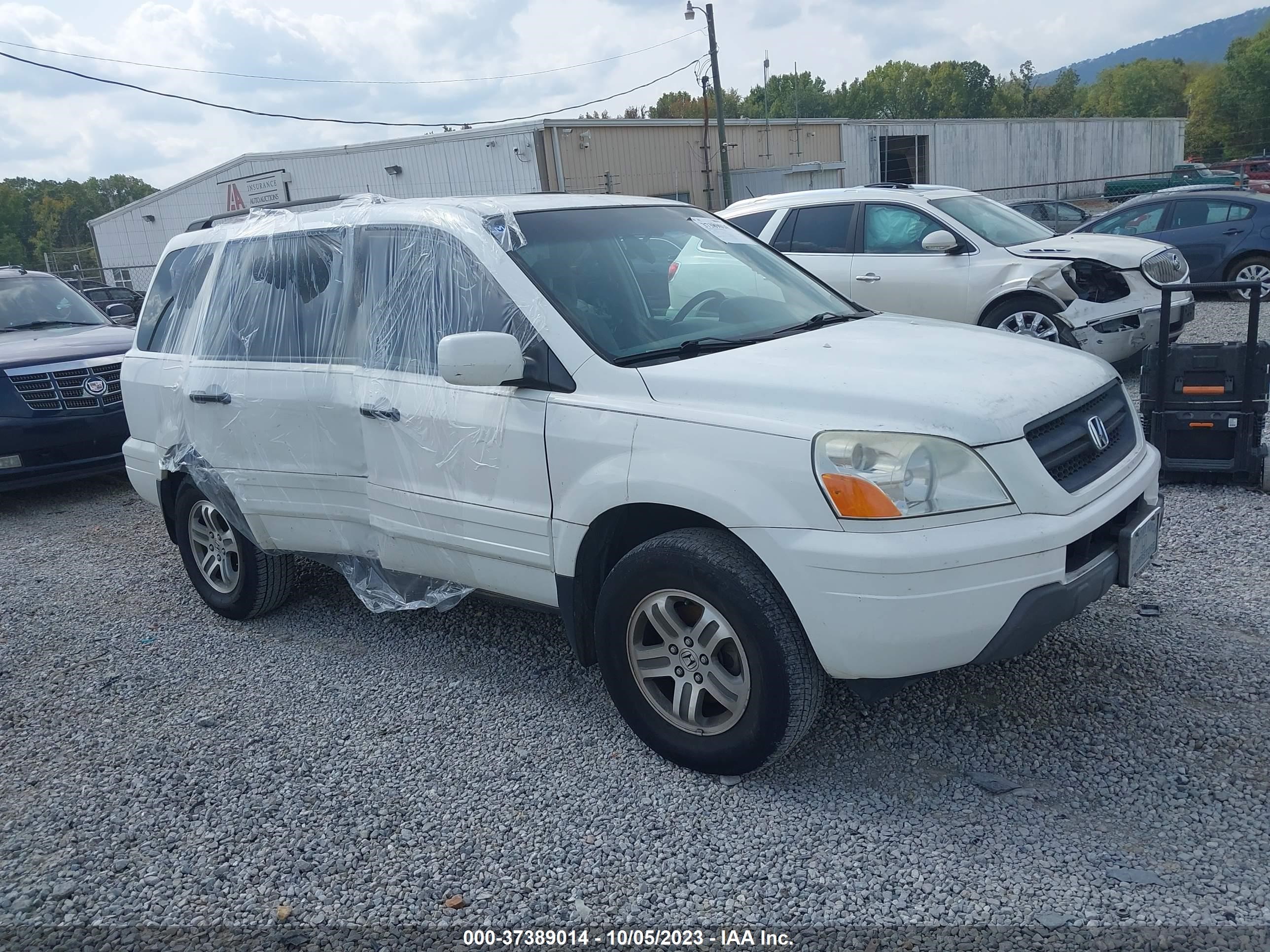 honda pilot 2004 5fnyf18444b007524