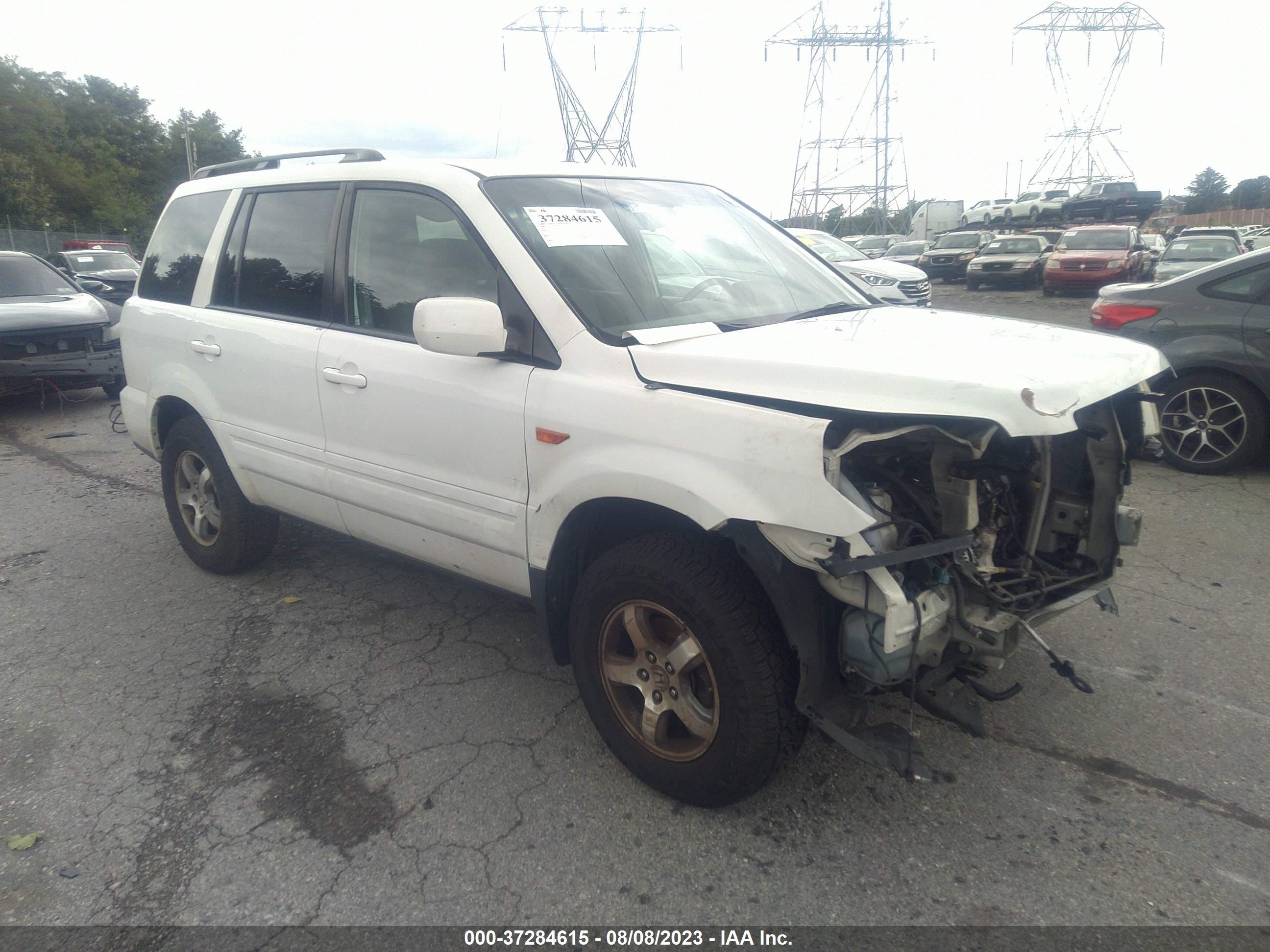 honda pilot 2006 5fnyf18456b019619