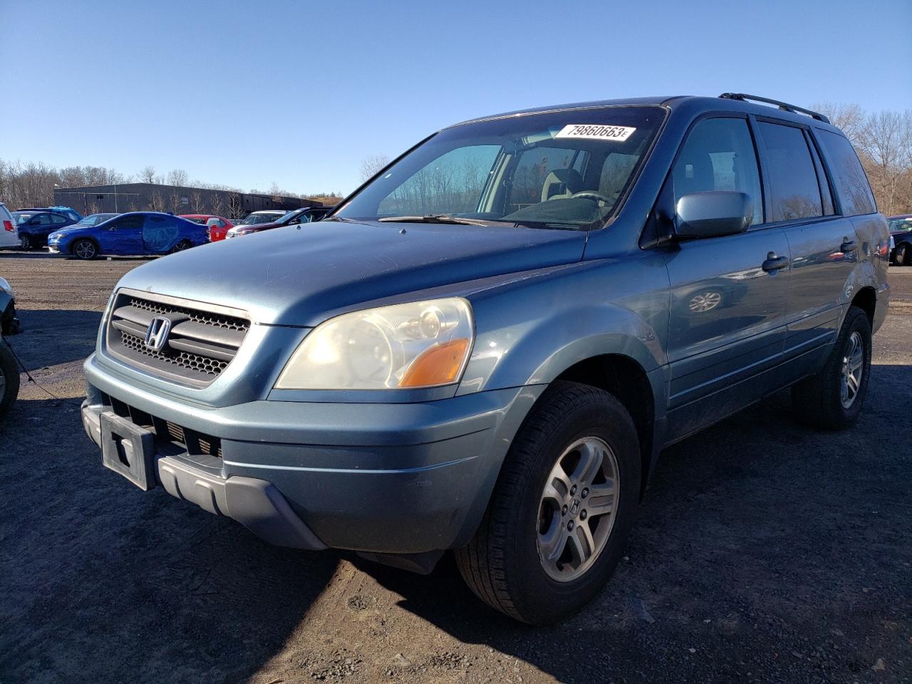 honda pilot 2005 5fnyf18465b037352