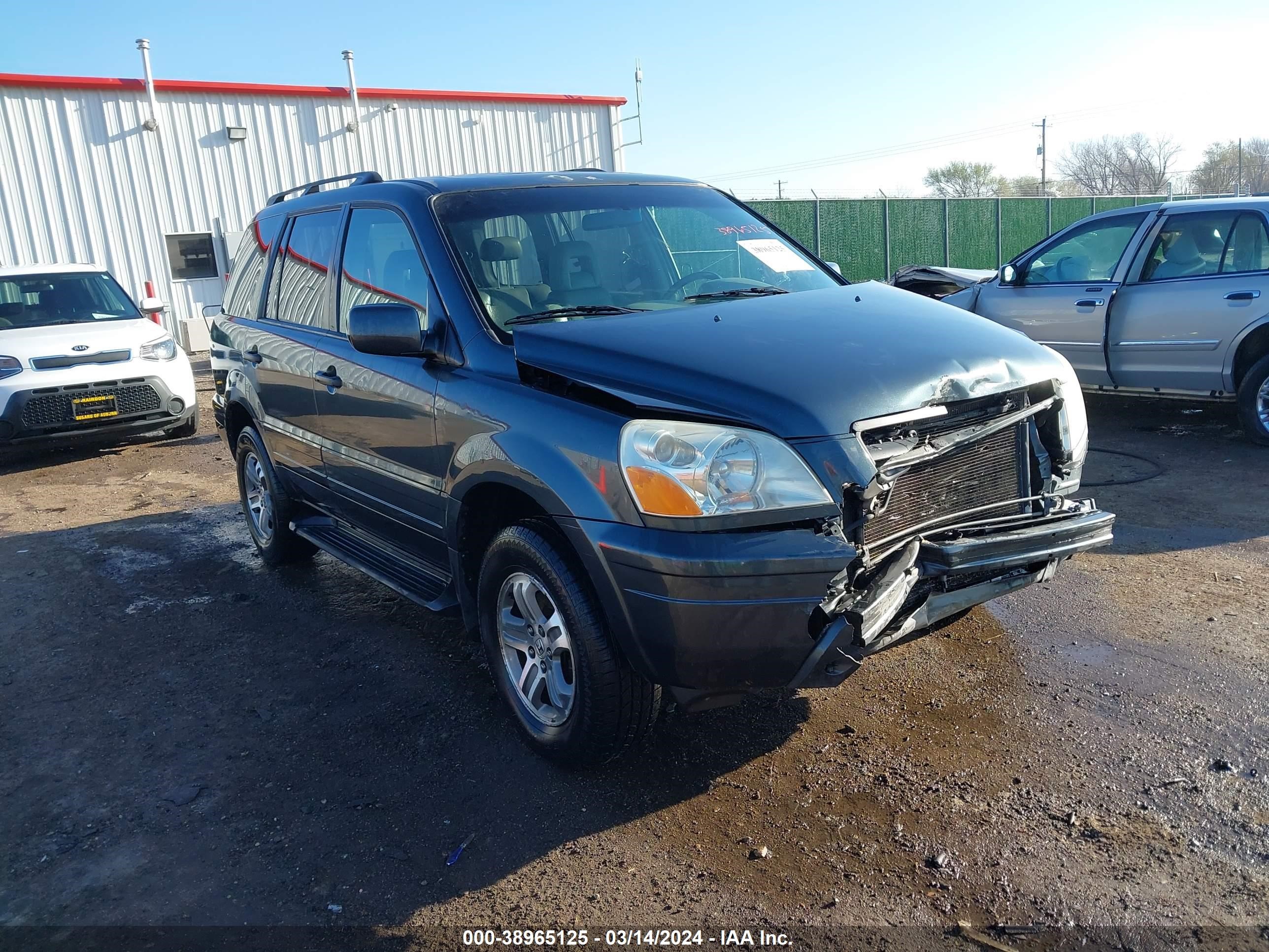 honda pilot 2005 5fnyf18525b066517