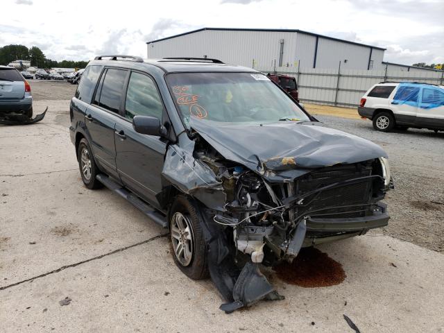 honda pilot 2005 5fnyf18545b017125