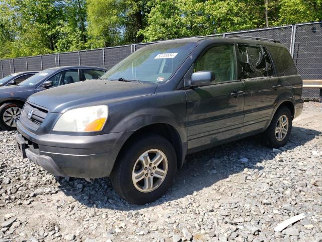 honda pilot 2005 5fnyf18555b005579