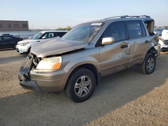 honda pilot 2005 5fnyf18555b007946