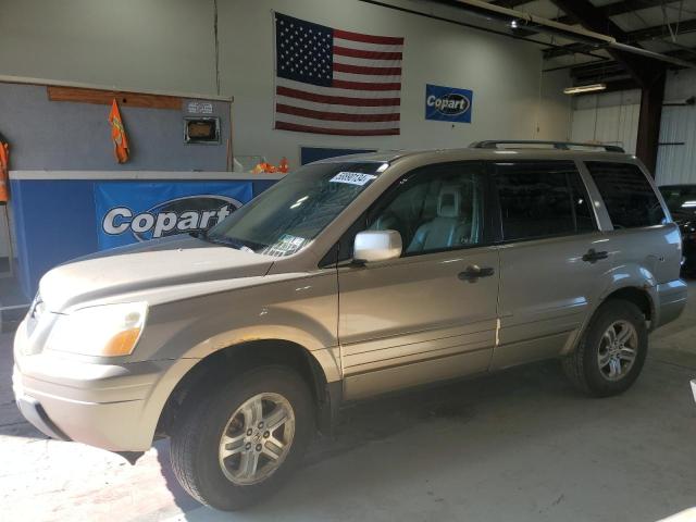 honda pilot 2005 5fnyf18565b025534