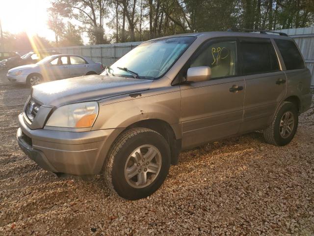 honda pilot 2005 5fnyf18575b039796