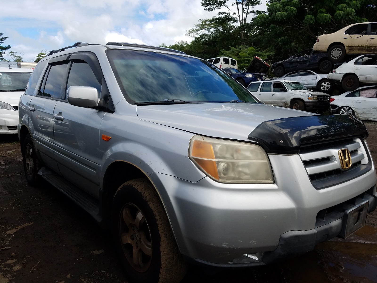 honda pilot exl 2008 5fnyf18598b035771