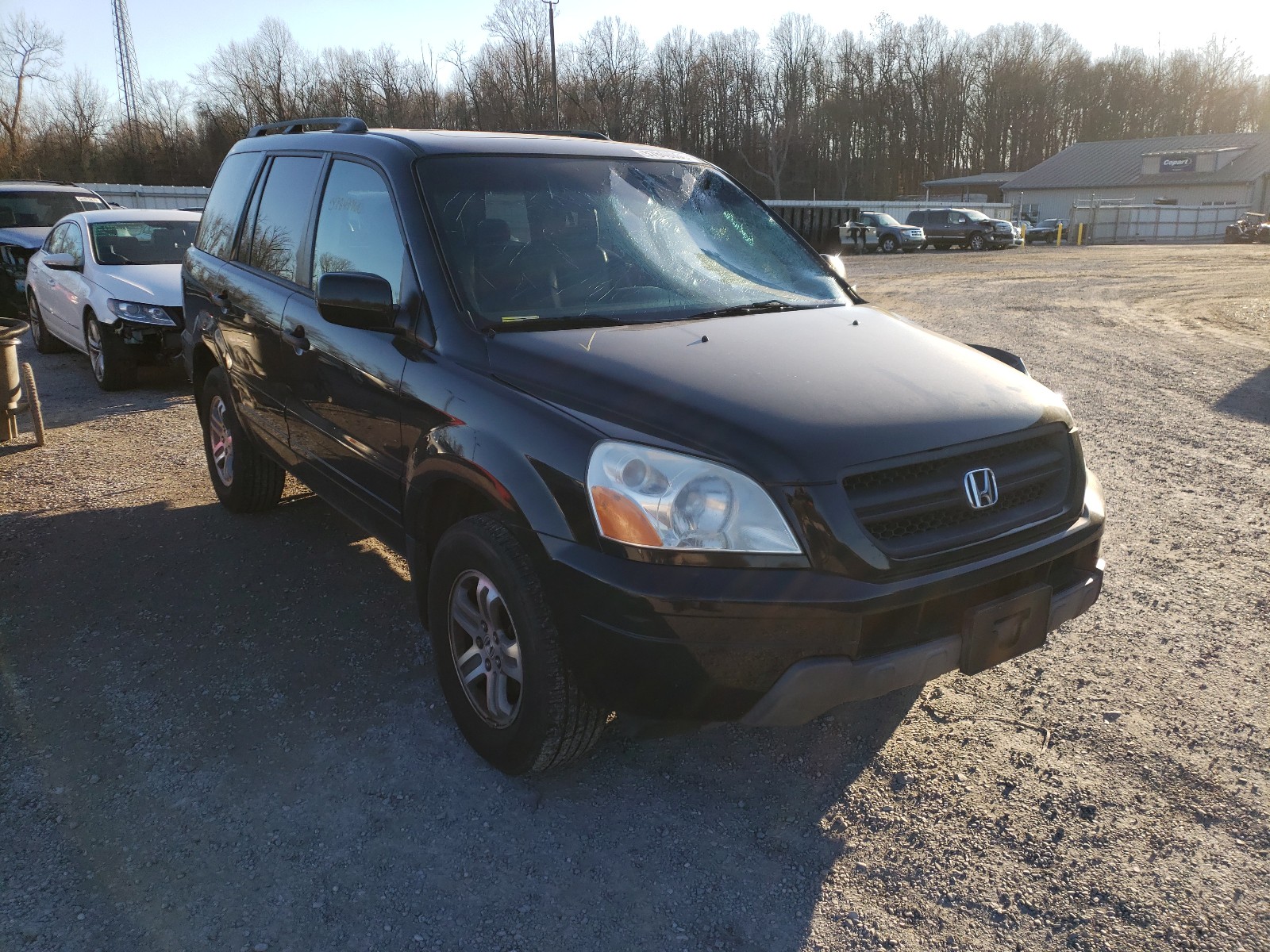 honda pilot 2005 5fnyf18635b062839