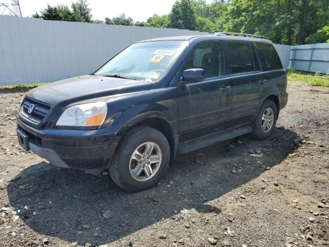 honda pilot exl 2005 5fnyf18645b052773