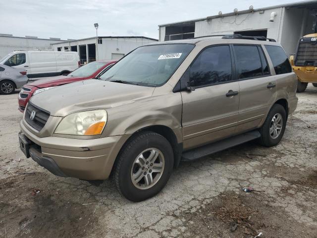 honda pilot exl 2005 5fnyf18655b017479