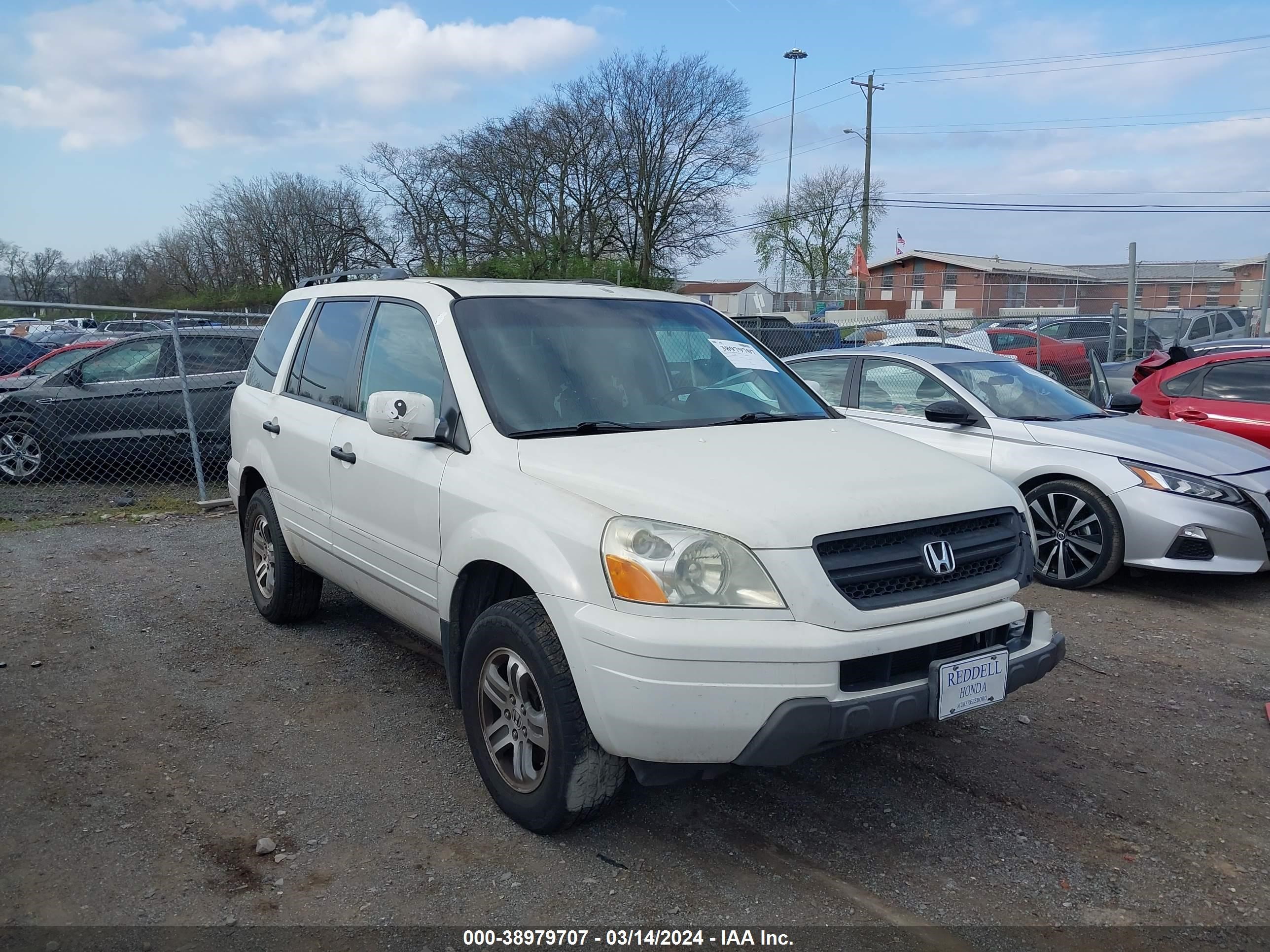 honda pilot 2005 5fnyf18665b015238