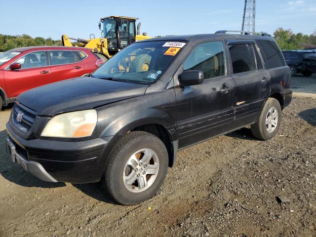 honda pilot exl 2005 5fnyf18665b067503