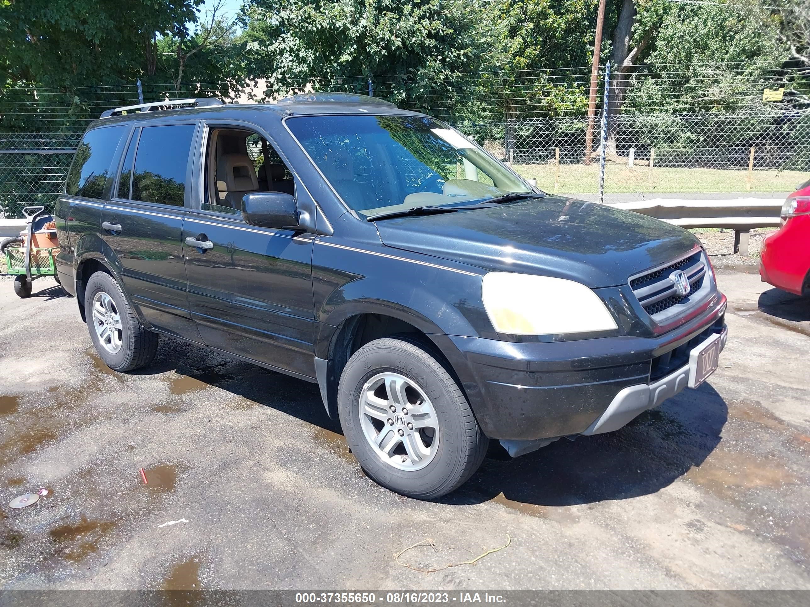 honda pilot 2005 5fnyf18675b003762