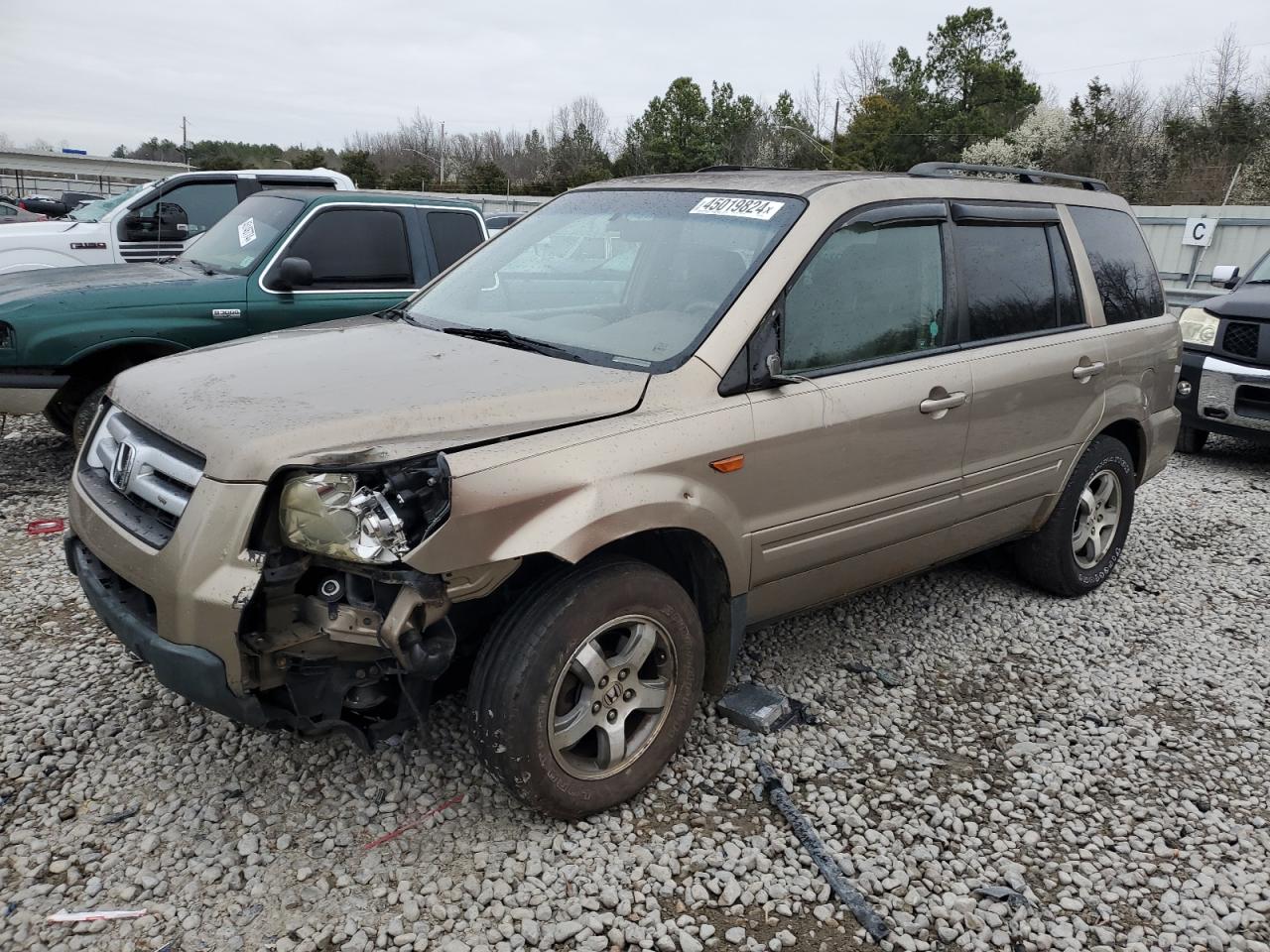 honda pilot 2006 5fnyf28556b008893