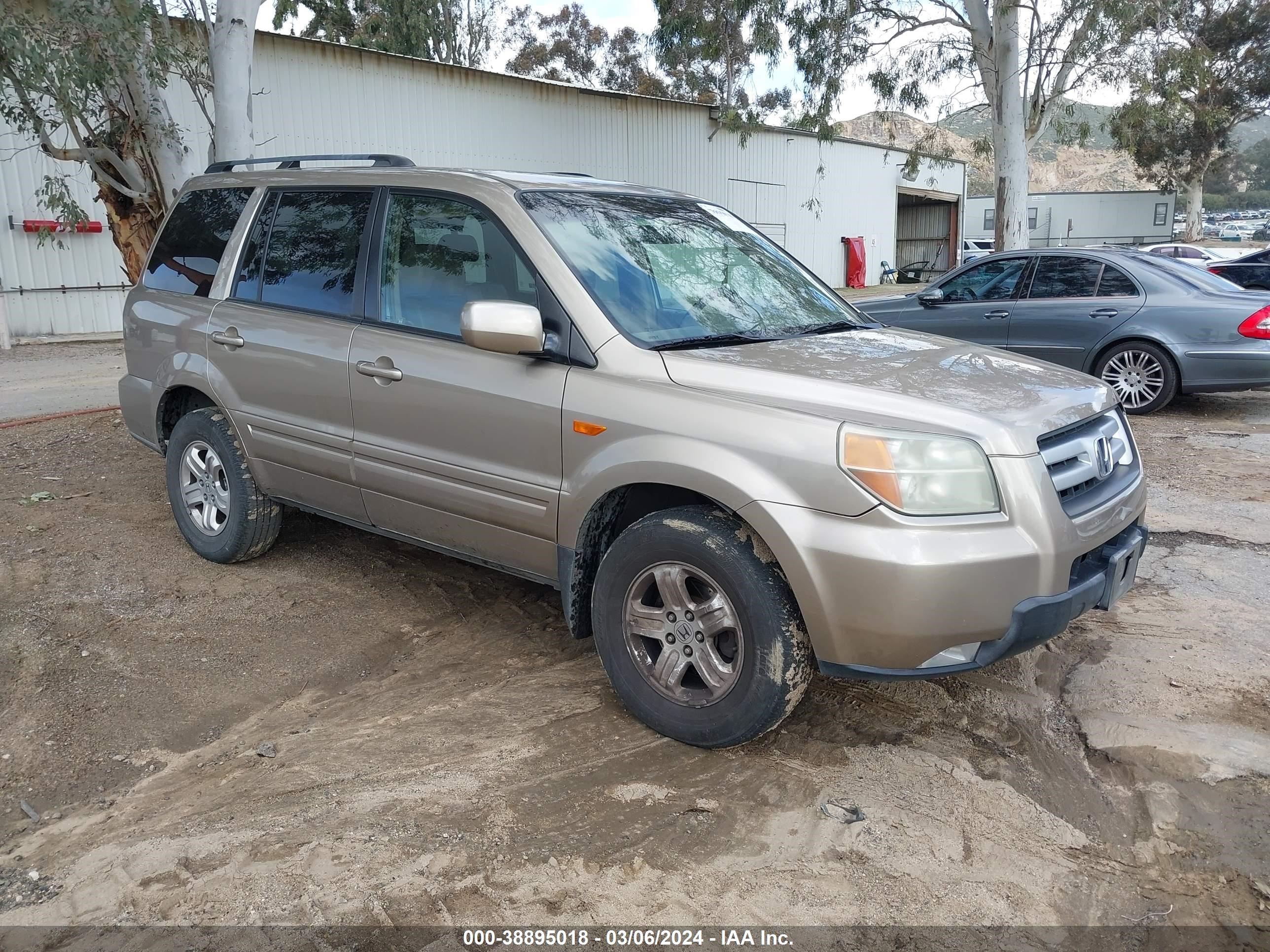 honda pilot 2006 5fnyf28686b026085