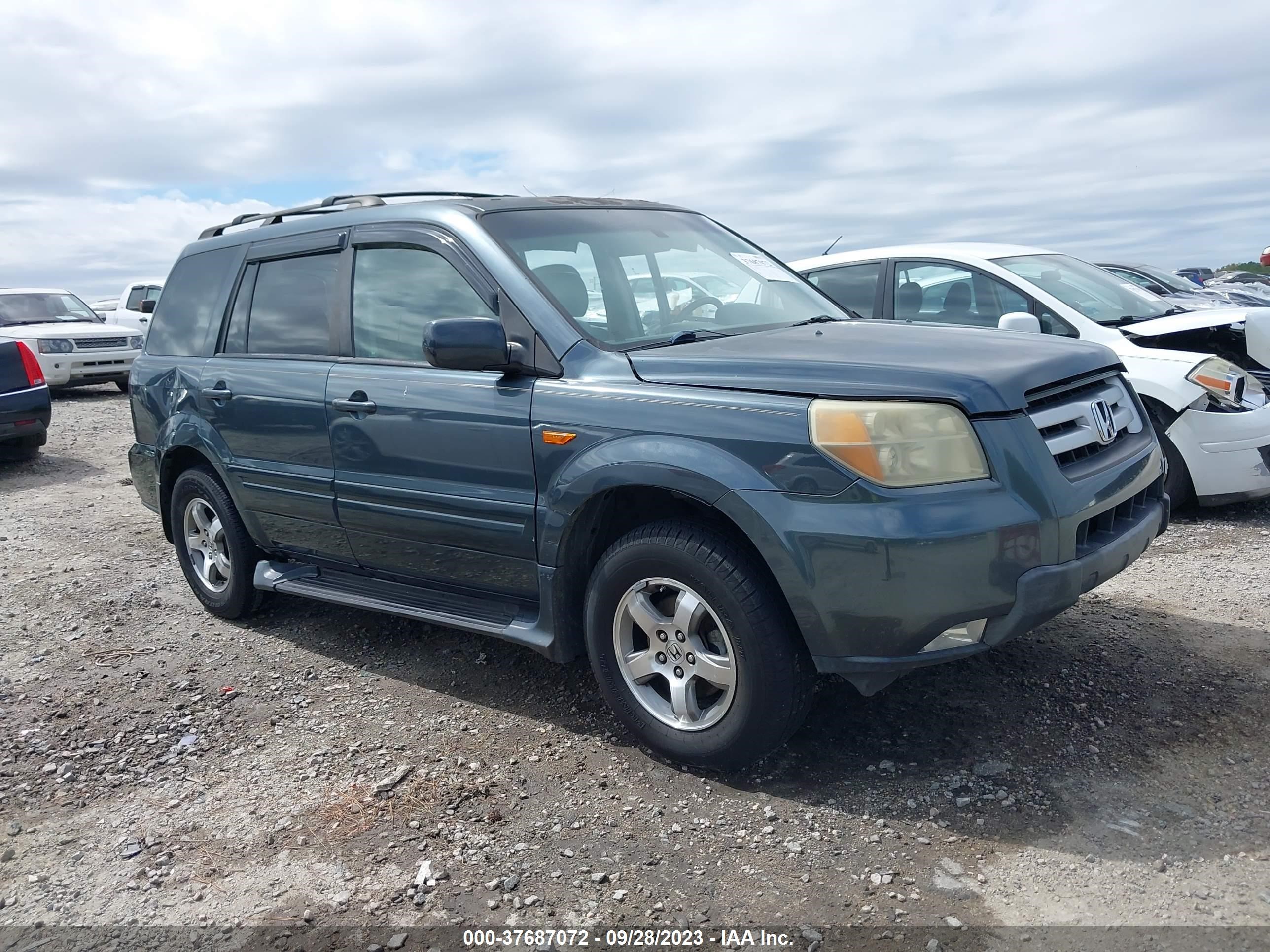 honda pilot 2006 5fnyf28696b025317