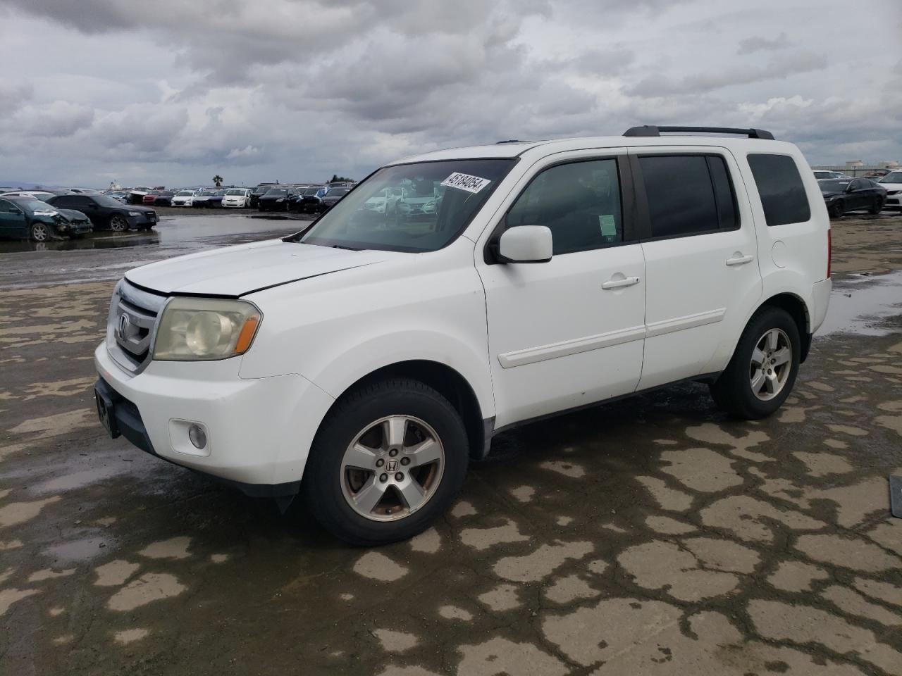 honda pilot 2009 5fnyf38519b003183