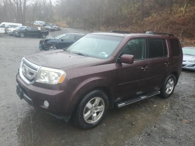 honda pilot 2009 5fnyf38559b001405