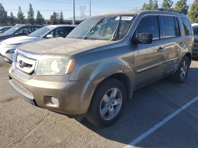 honda pilot exl 2009 5fnyf385x9b027885