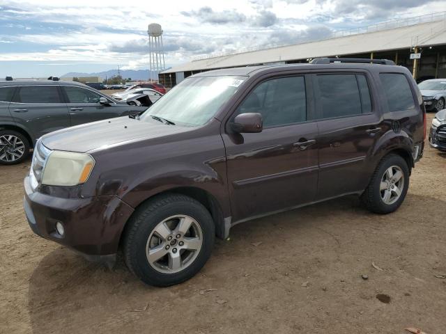 honda pilot 2009 5fnyf38629b020292