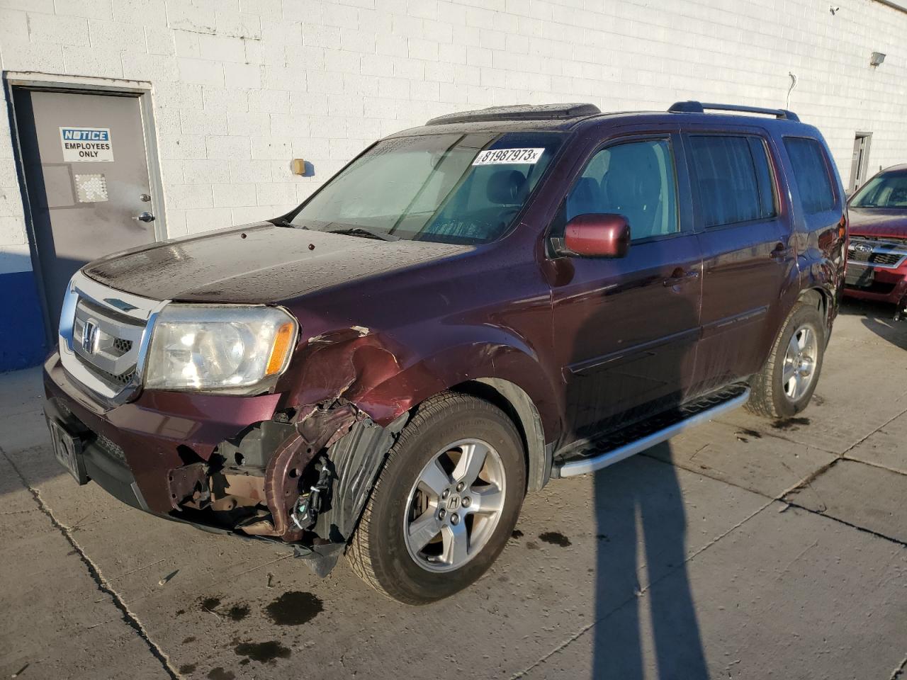 honda pilot 2009 5fnyf38699b002999