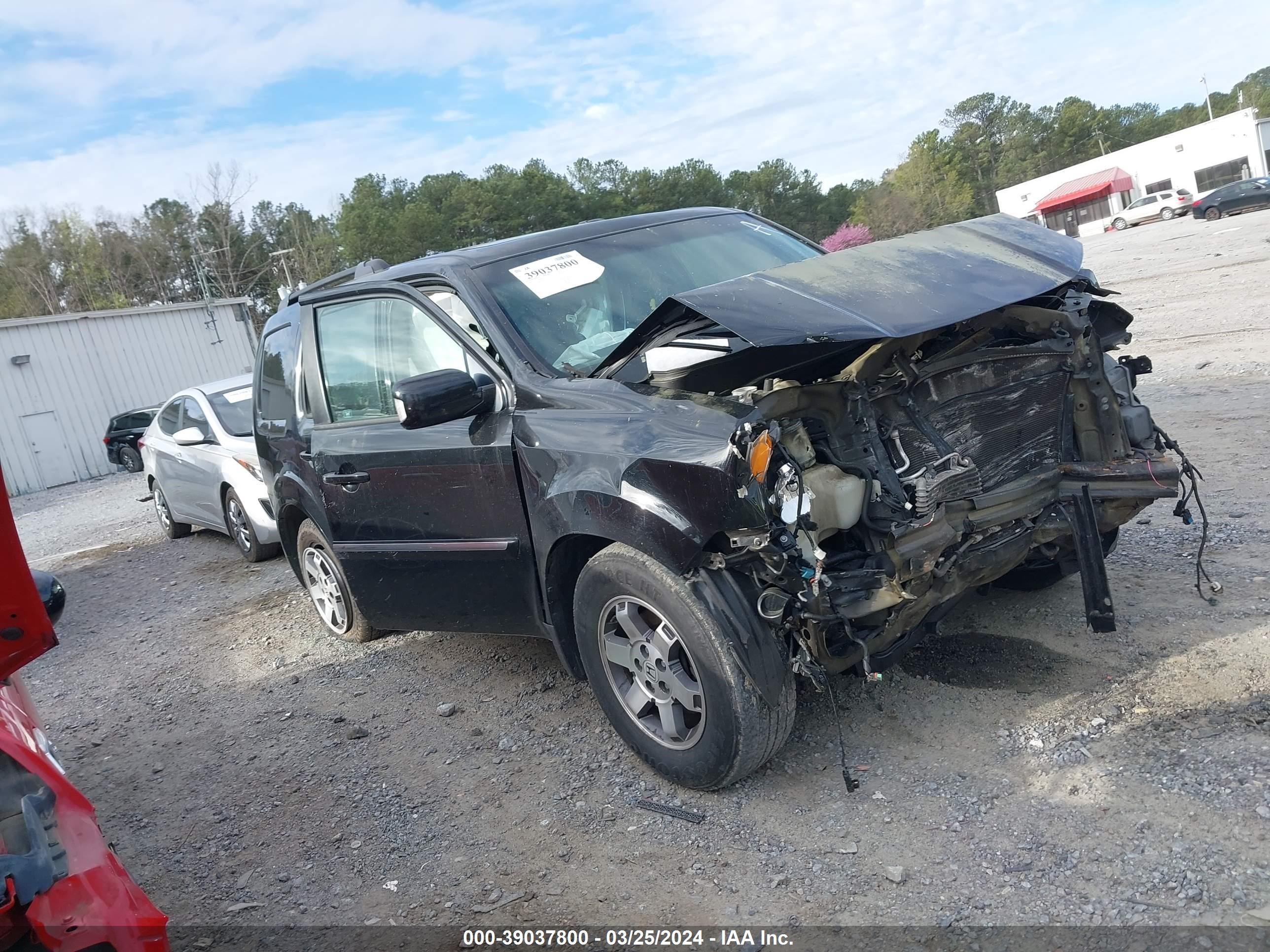 honda pilot 2009 5fnyf38819b016381