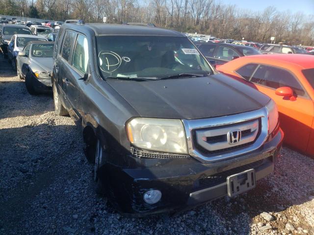 honda pilot ex 2011 5fnyf3h41bb021437