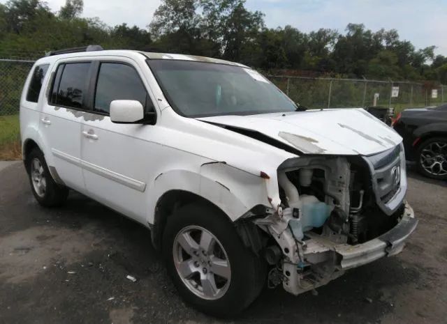 honda pilot 2011 5fnyf3h50bb031952