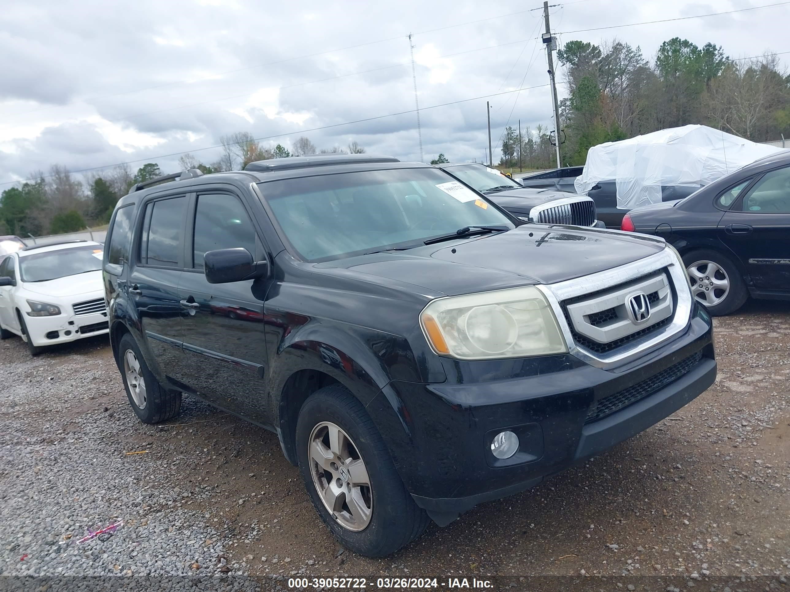 honda pilot 2011 5fnyf3h51bb017428